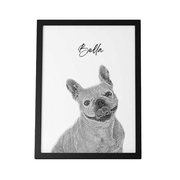 Pen Art Pet Portrait